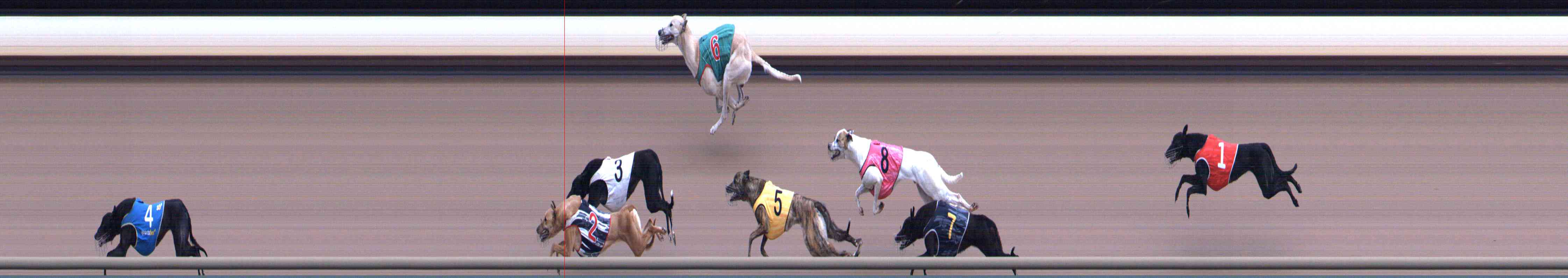 Race result finish photo